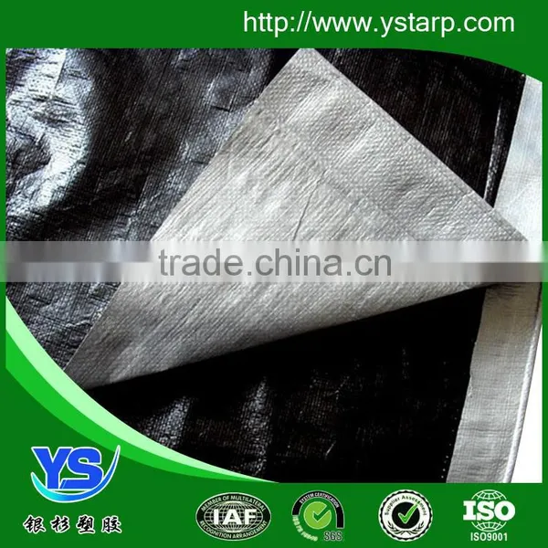 60gsm Blue Tarpaulin pe Blue Tarpaulin photo-3