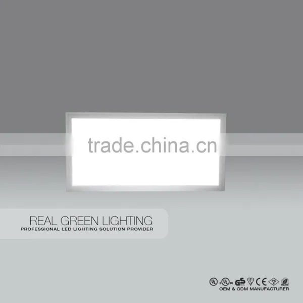 20W 196*596*10mm 1200LM LED Integrated Ceiling Panel Light Indoor Ceiling Light
