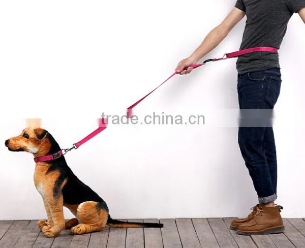 Running Epoxy Sticker Pet Dog Leash Wholesale photo-5