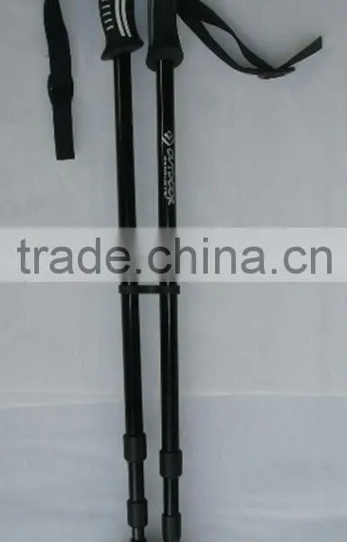 Ski Pole