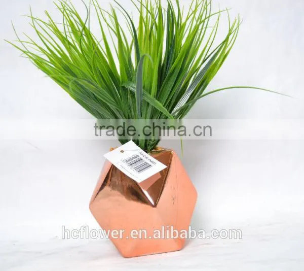 Home and Office Decoration of Succulent Grass