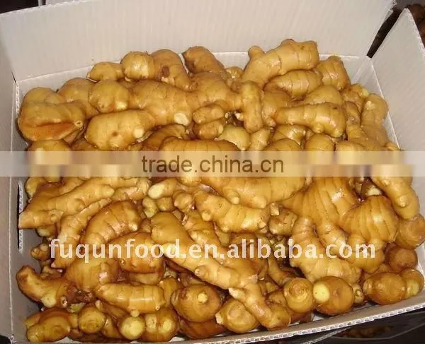 Fresh Ginger, Air Dried Ginger