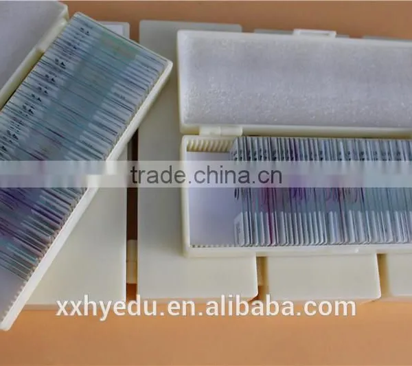 Lab Microscope Prepared Slides , Glass 52kinds Bacterial Prepared Slides,science Prepared Slides photo-2