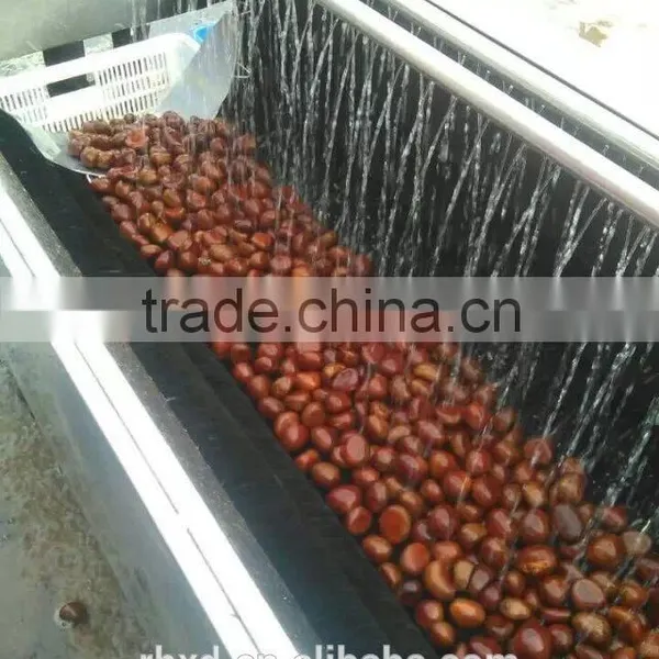 2015 Health Food Fresh Chinese Sweet Chestnuts/chinese Snack Food photo-5