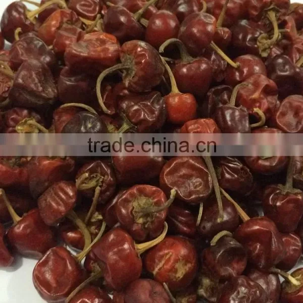 Bell Chilli From India photo-6