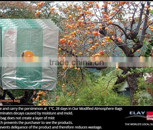 Melon Bag photo-5