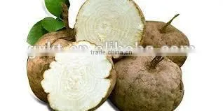 Pueraria Mirifica Big Breast Massage Oil photo-3