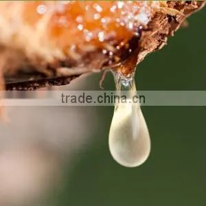Pure & Natural Frankincense Oil BULK