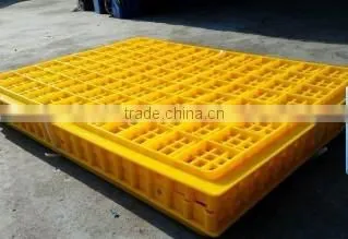 Poultry Farming Equipment Chicken Duck Goose Transport Box for Sale photo-2