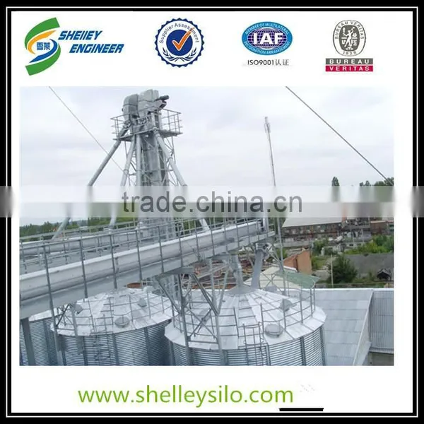 China Small Grain Bucket Elevator for Sale photo-5