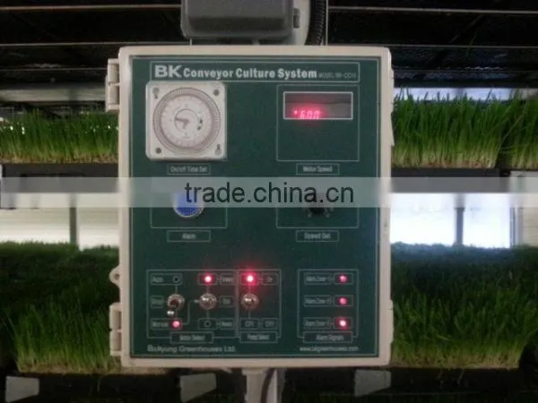 BK Conveyor Culture photo-6