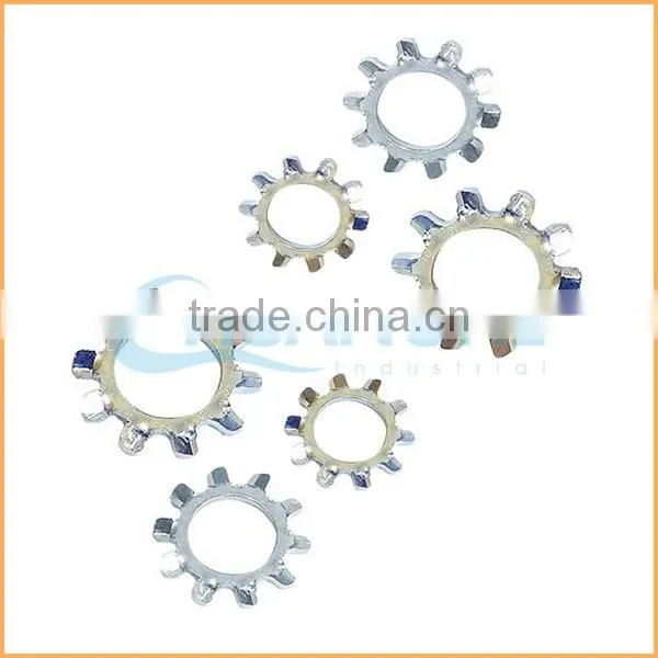 China Professional Manufacturing Internal and External Tooth Lock Washer photo-2