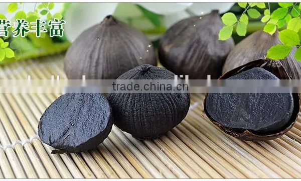 Zhengzhou Product Peeled Solo Black Garlic Packed With Organic Certificate photo-6