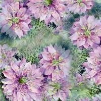 Digital Print Silk Shawl Factory