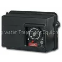 Fleck Valve