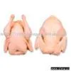 CHICKEN/ALL CUTS