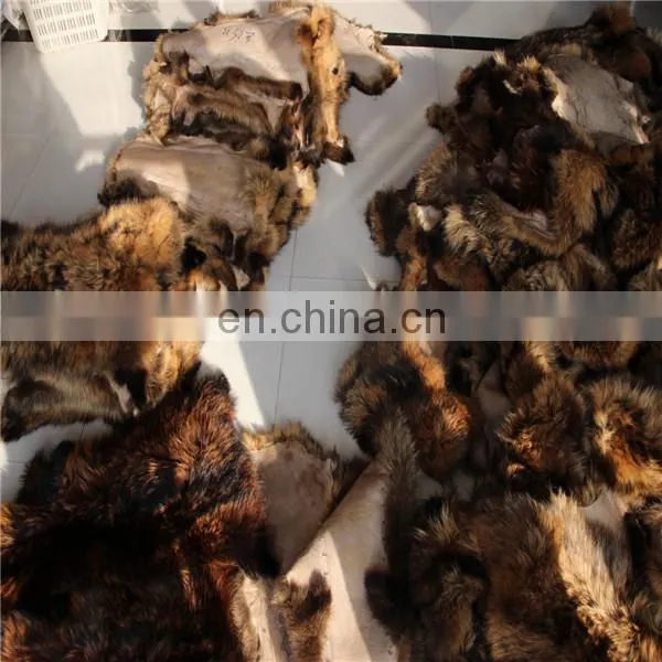 Top Grade Factory Direct Natural New Finished Tanned Processed Raccoon Fur Skin photo-3