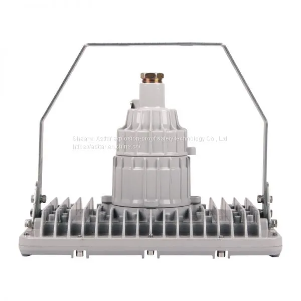 Oil Refining Flame-proof Lamp photo-2