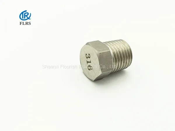 ASME B16.11 Hexagon Head NPT/BSPT A182 F316/316L Threaded Plug/pipe Fitting photo-3