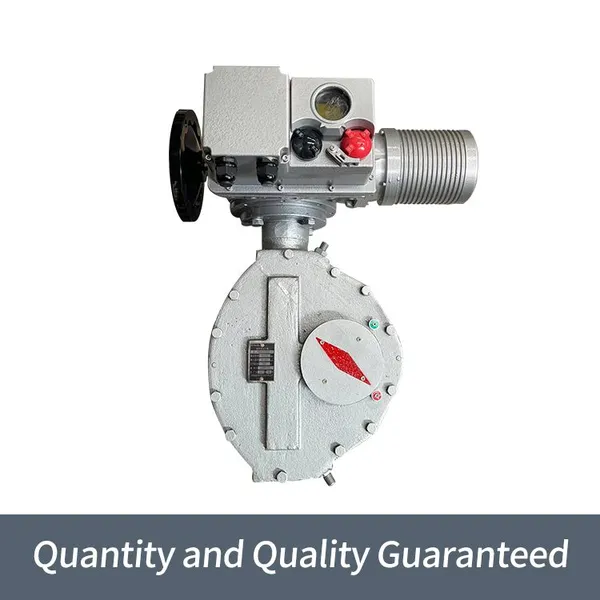 Bernard Intelligent High-power B+RS1000/F105Z Angle Travel Electric Actuator photo-1
