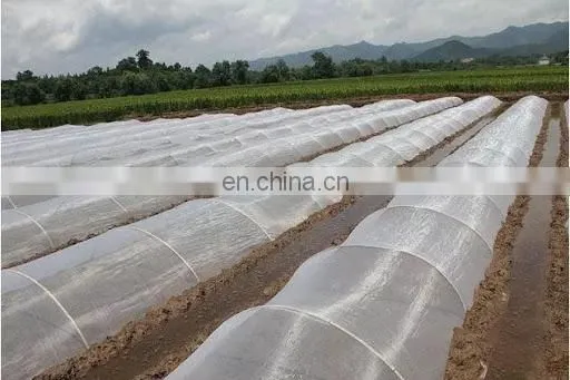 Manufacture 50 Mesh 130gsm Anti Insect Net With UV for Outdoor Agricultural Greenhouses photo-5