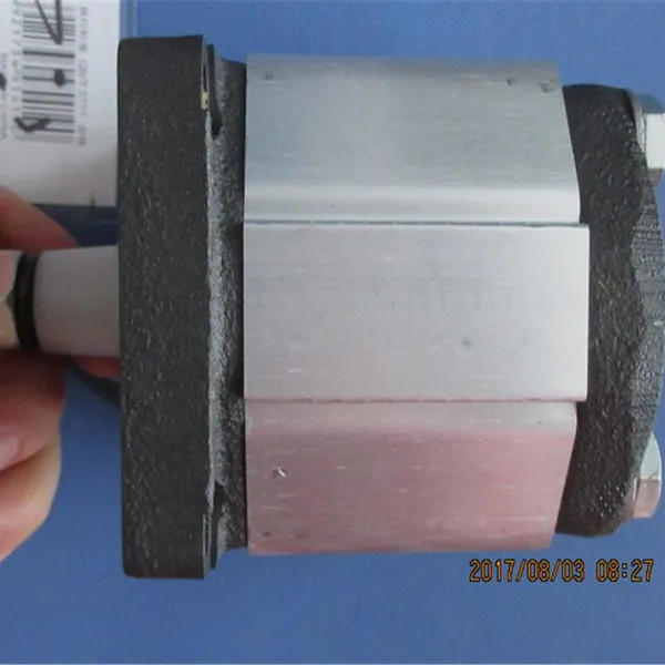 High Quality Level Gear Pump PFG-142-D-RO photo-6