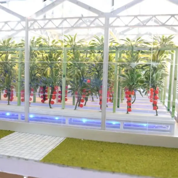 Agricultural Greenhouse Sand Table Model Manufacturer photo-4