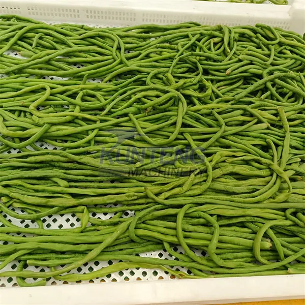 Big Capacity Okra Vegetables Drying Oven Fruits Dehydrator Agriculture Moringa Leaves Dryer Machine EPC photo-2