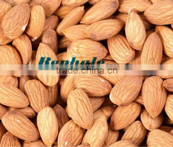 500kg/h Almond Peeler