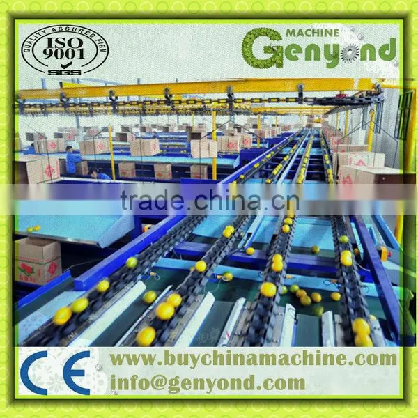 Fruit Photoelectronic Grading Line photo-6