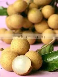 Canned Fresh Longan in Syrup - 30 oz Tin (850ml x 12 Tins) photo-3