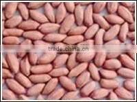 Peanut kernels new crop