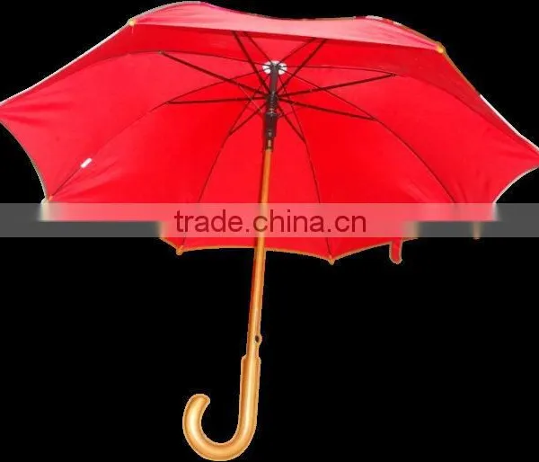 Rain Umbrella