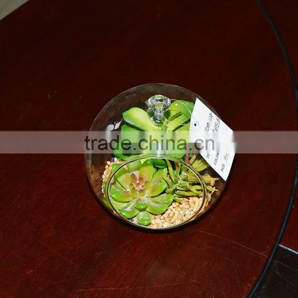 We Export Succulent Plants Geometric Glass Terrarium Wholeasle photo-4