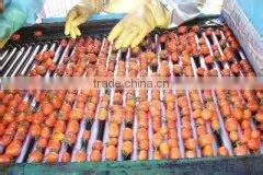 Jujube production line/Chinese Dates Processing Line/Date palm process line