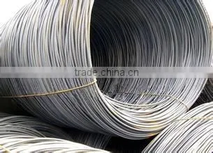 Wire Rod Li Xiaoxi photo-5