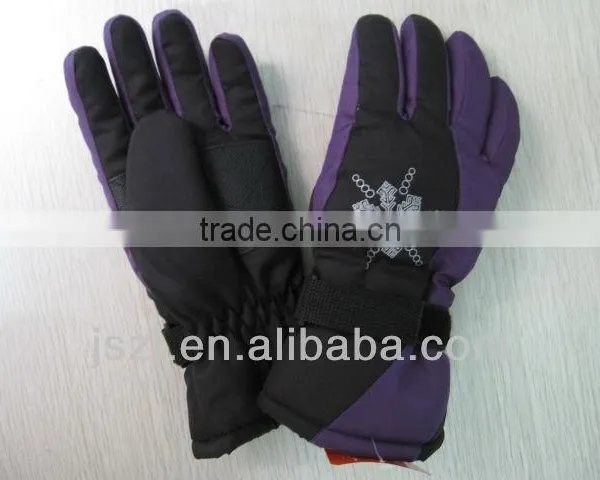 Ski Gloves