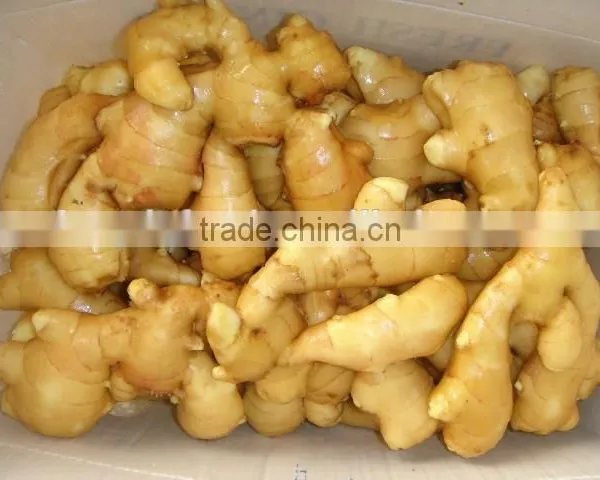 Fresh Ginger photo-2