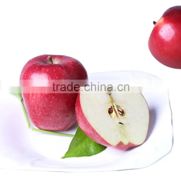 2016 New Crop New Season Huaniu Apple Fresh Apple China Gansu Tianshui Huaniu Apple