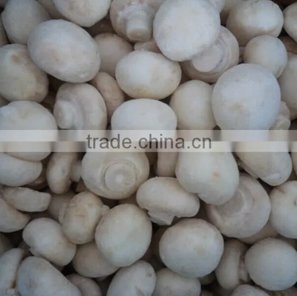Iqf Frozen Cultivated Champignon Button Mushroom Spawn photo-2