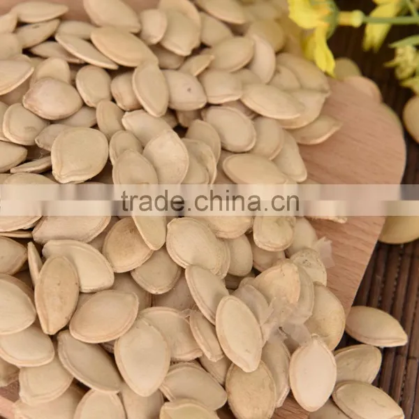 9-11mm Pumpkin Seeds From Inner Mongolia photo-5