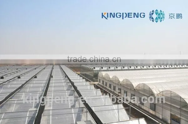 Multi Span Greenhouse (ISO9001:2000) photo-2
