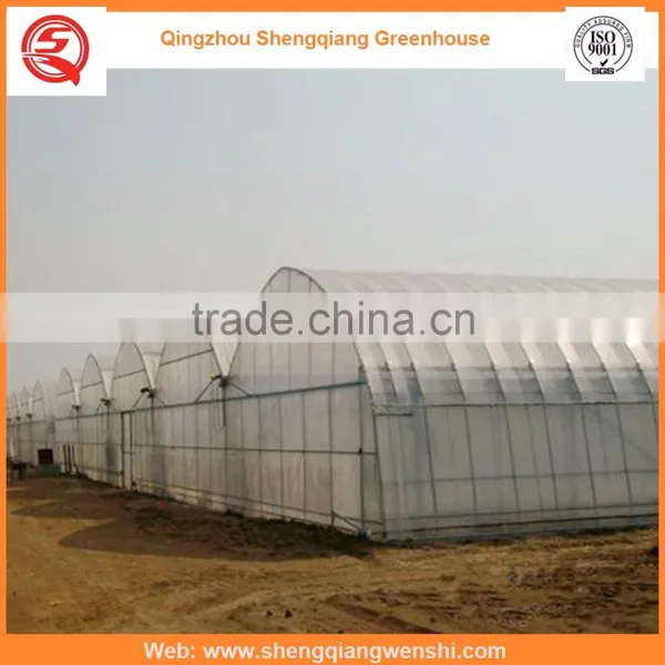 Agriculture Equipment Multi-span 7.2m PE Film Agriculture Greenhouse for Sale photo-6