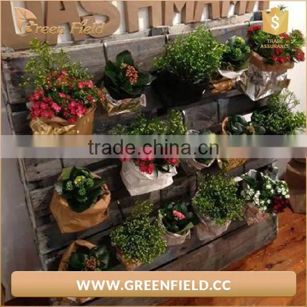 Green Field Washable Kraft Paper Storage Bag Waterproof Planter Bag photo-5