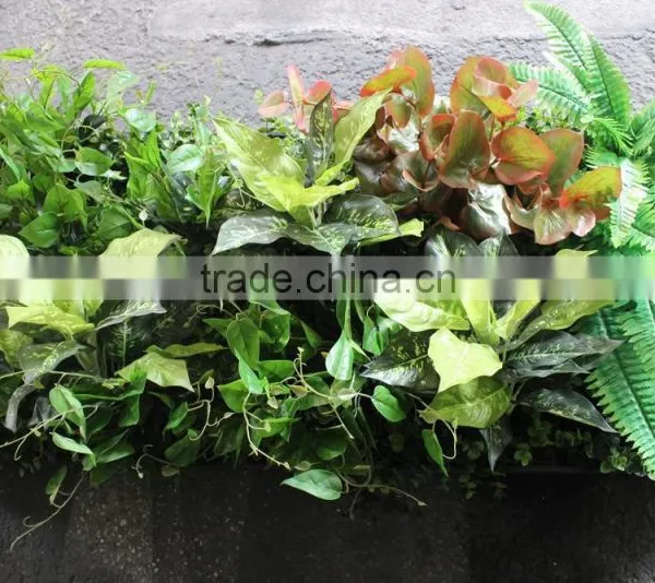 High Technique Fake Grass Wall Evergreen Artificial Grass Wall photo-2