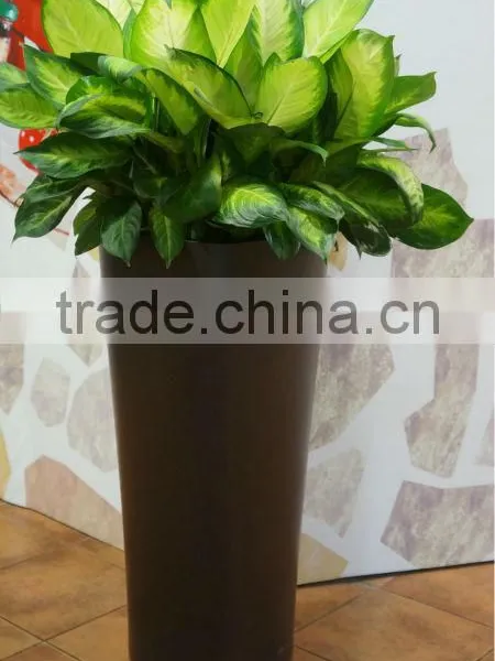 Fiberglass Flower Pot