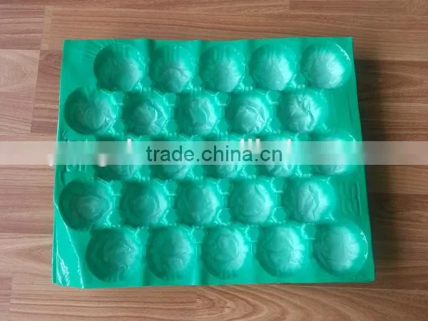 Safety Protection Plastic Alveolar PP Fruit Packing Tray photo-5