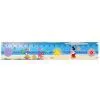 3d Lenticular Rulers photo-2