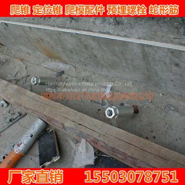 8.8 Grade Double Ends Anchor Bolt 20mm photo-4
