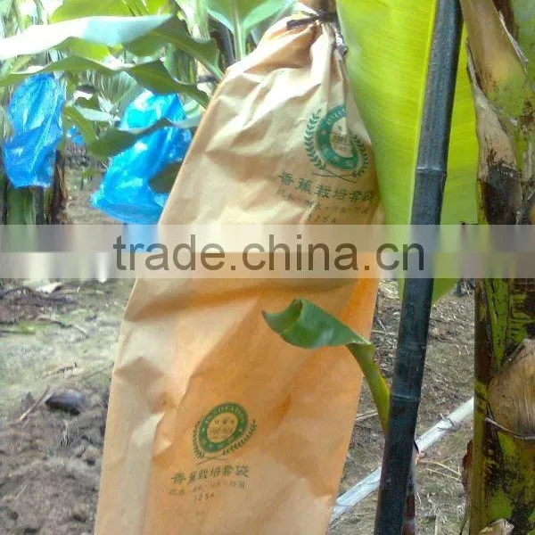 Banana Protection Bags/growing Bags for Fruit photo-6